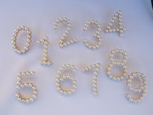 Load image into Gallery viewer, PEARL NUMBER BROOCH